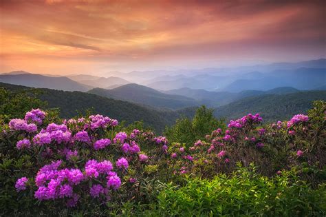 Southern Appalachian Blue Ridge Parkway Rhododendron Sunse Flickr