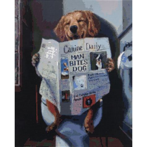 Clever Dog 40 X 50 Actual Picture Size