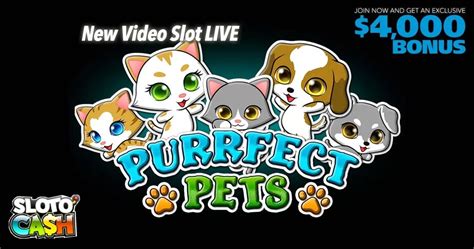 Purrfect Pets Slot Free Bonus