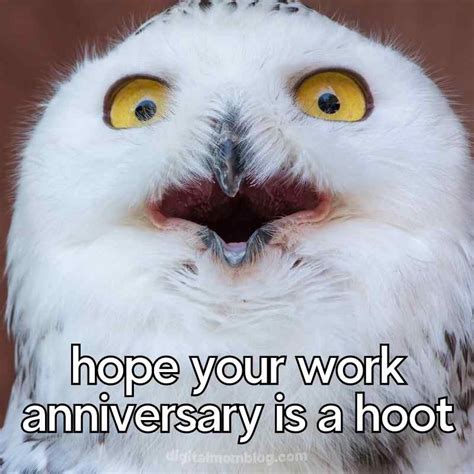 Top 151 5 Year Work Anniversary Meme Funny