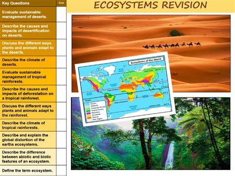 Gcse Aqa Living World Global Ecosystems And Rainforests Diagram Sexiz Pix