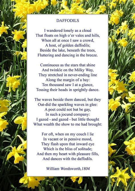 Wordsworths Daffodils Especially Good As A Card By Philip