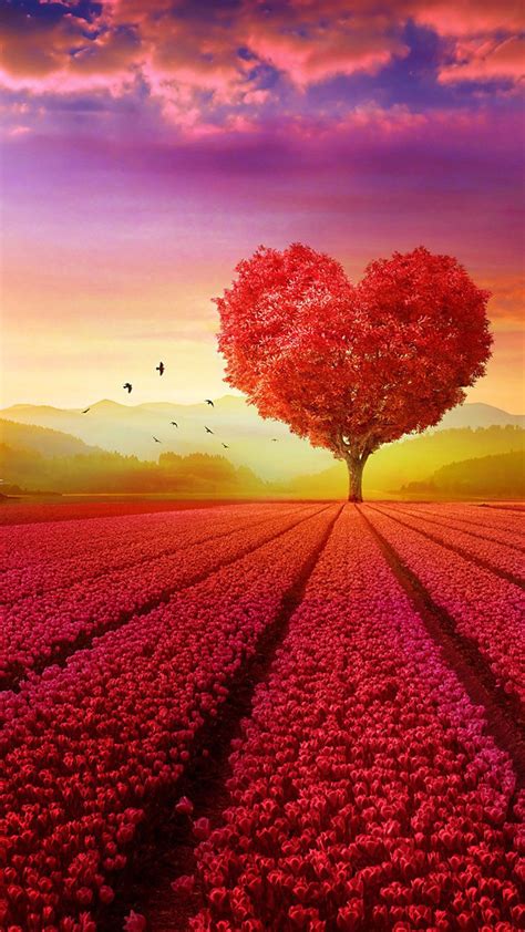 View And Download Love Heart Shape Tree Flowers 4k Ultra Hd Mobile