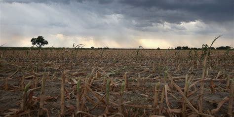 Drought Forecast To Persist Intensify In Much Of Us