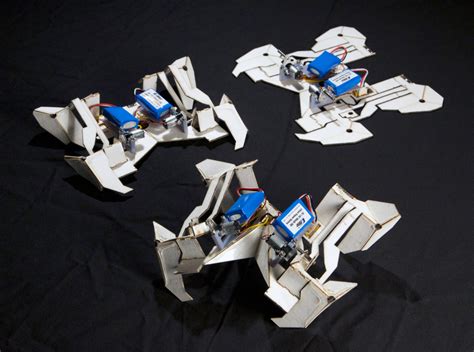 Origami Robots Enter The Fold Discover Magazine