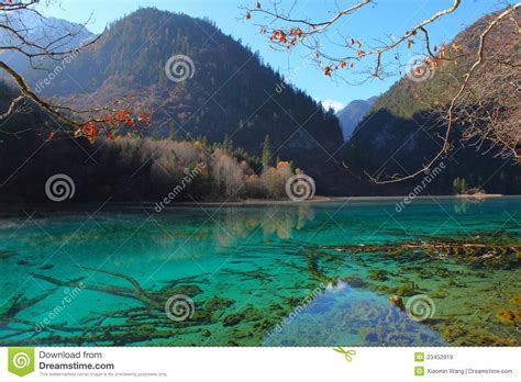 Autumn Tree Mountain And Lake In Jiuzhaigou Stock Image Image Of