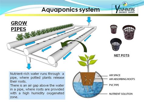 Explanation Of Nft Nutrient Film Technique System For Hydroponics Or