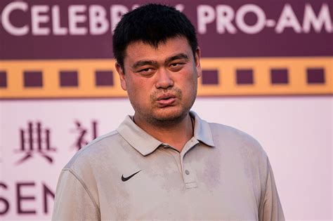 Yao ming is a large man. NBA legend Yao Ming plays with Natalie Gulbis and Gary ...
