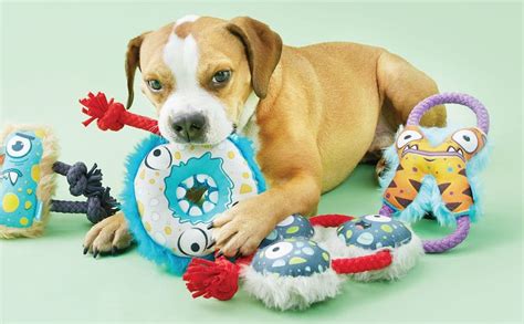 What Are The Best Dog Toys For Puppies Bark