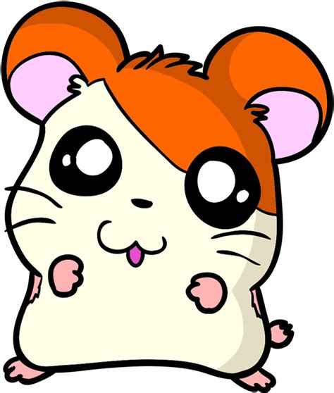 Learn Easy To Draw Adorable Hamster Step Hamster Draw Clipart Full