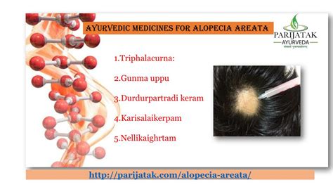 Ppt Alopecia Herbal Treatment Center India Powerpoint Presentation