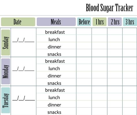 Blood Sugar Tracker Printable Blood Glucose Log A5 Planner