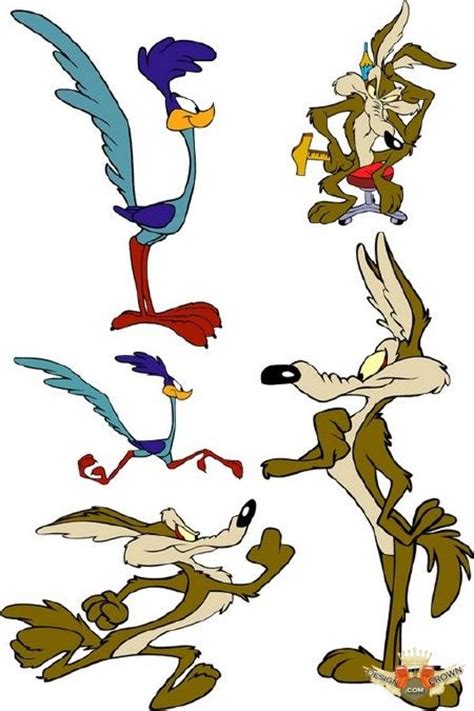 Road Runner Cartoon Drawing Free Download On Clipartmag