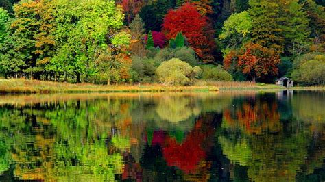 1920x1080px 1080p Free Download Colorful Reflections Fall Colorful