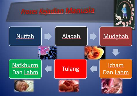 Berikut ini sebagian kecil fakta sains yang ditemukan dalam al quran, dirangkum. Proses Kejadian Manusia: Kejadian Manusia Perspektif Islam