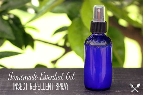 How To Make Homemade Essential Oil Insect Repellent Spray