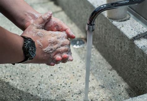99 ($0.34/count) save more with subscribe & save. Your Dishwasher And Your Septic Tank