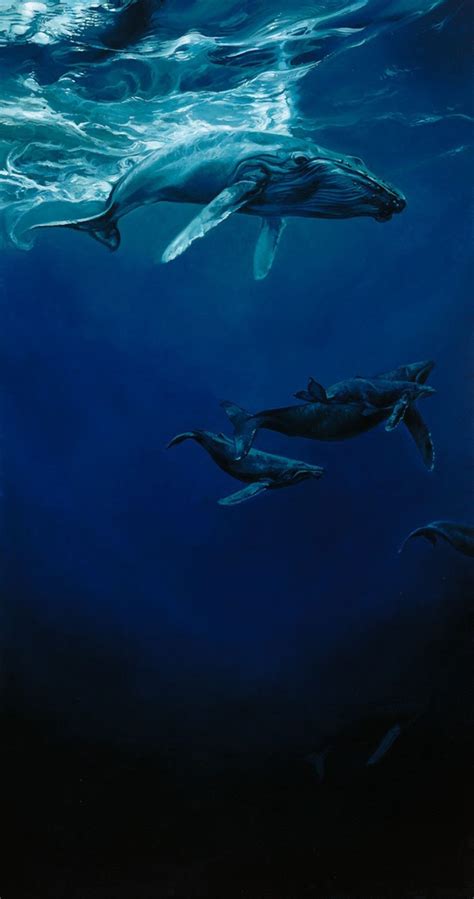 Ocean Animal Cute Blue Deep Whale Wallpapers Hd Desktop And