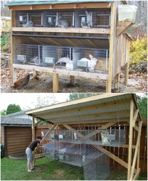 10 Free Diy Rabbit Hutch Plans That Make Raising Bunnies Easy Diy