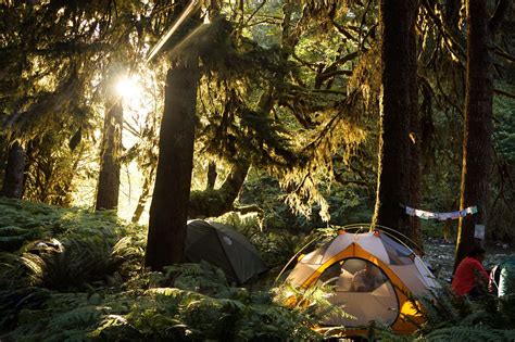 4 Best National Forests With Campgrounds