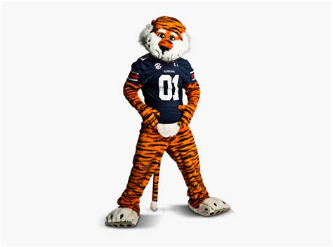 Aubie The Tiger Png Transparent Png Kindpng