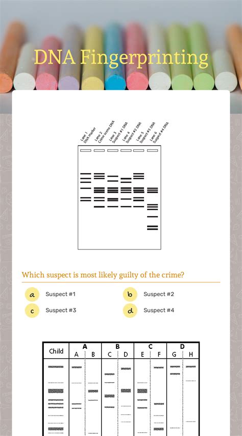 Dna Fingerprinting Interactive Worksheet By Melanie Schoonmaker