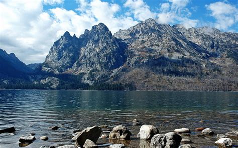 Hd Wallpaper Jenny Lake In Wyoming Spring Flowers Rocky Mountains