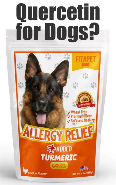 Fitapet Natural Allergy Relief Quercetin For Dogs Does It Work
