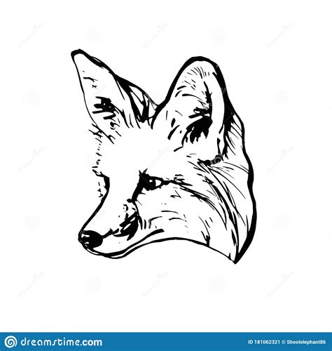 Realistic Black And White Drawing Of A Fox Head For