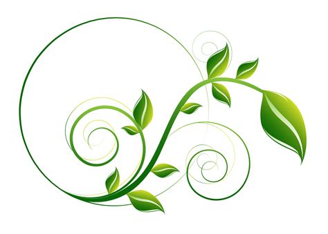 Green Leaf Png Vector Psd Free Leaf Vector Logo Leaf Background My