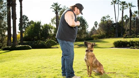 Elite Dog Training Photos Alpha Dogs National Geographic Channel