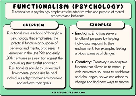 Functionalism In Psychology Definition Examples Criticism 2023