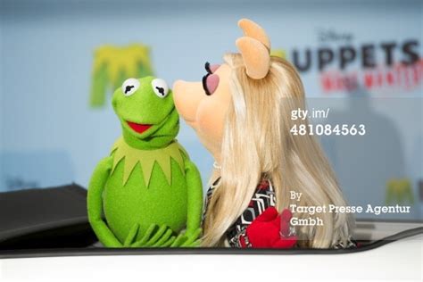 Miss Piggy And Kermit The Muppets Photo 37457532 Fanpop
