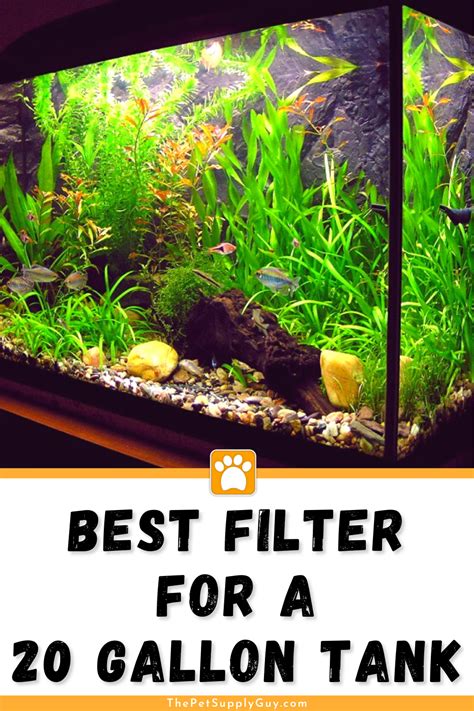 Best Filter For A 20 Gallon Tank Buying Guide Learn More