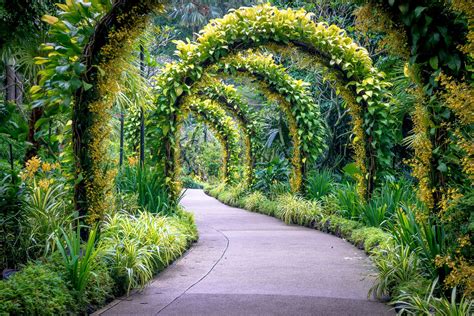 The Singapore Botanic Gardens Is A 160 Year Old Tropical Garden Located