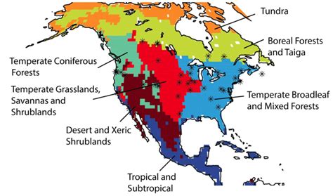 North American Biomes Modified From Olson 2001 As Defined For The