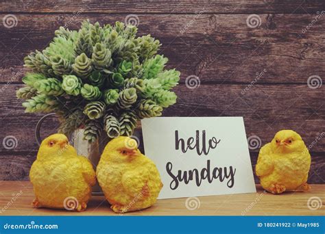 Hello Sunday Card With Blooming Flower On Wooden Background Stock Photo