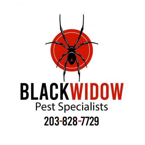 Black Widow Pest Specialists Naugatuck Ct