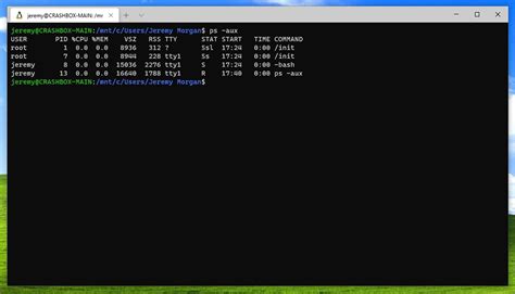 How To Customize Your Wsl Terminal Window Dnt