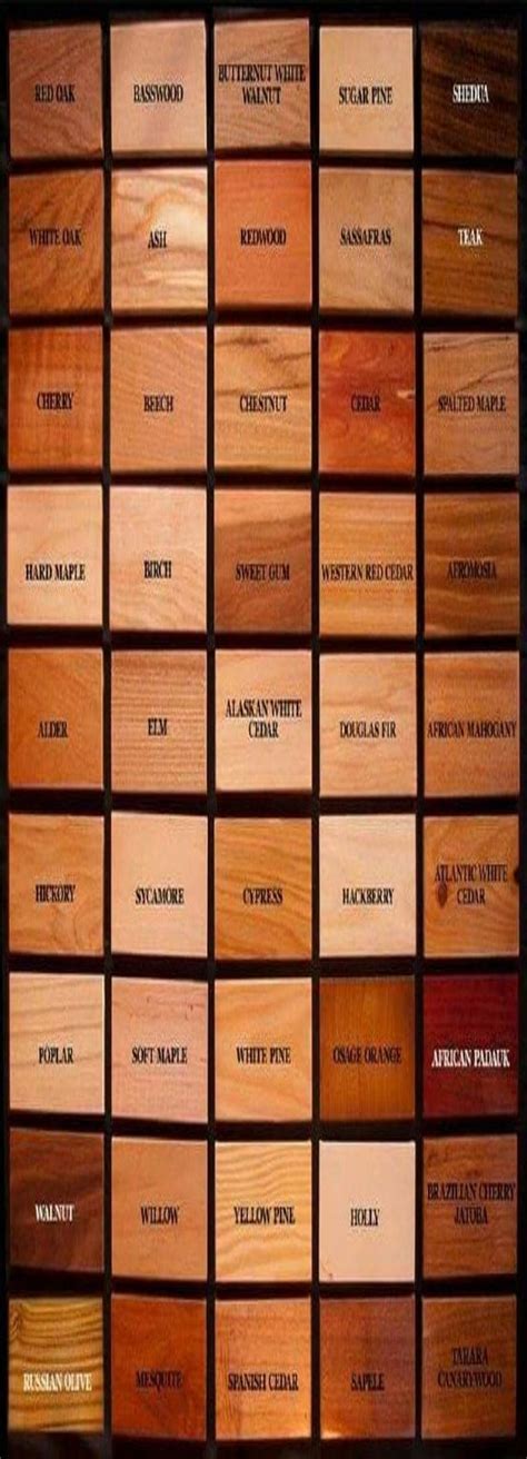 Wood Identification Chart: How To Identify Different Types Of Wood - Dona