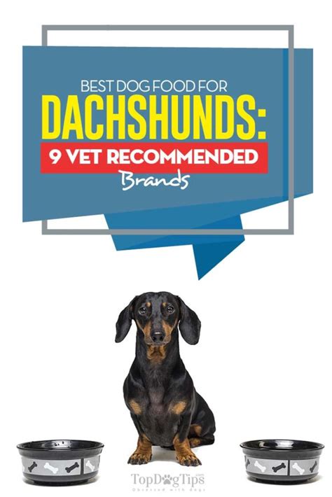 Best Dog Food For Dachshunds In 2020 9 Vet Recommended Brands