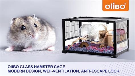 OIIBO Glass Hamster Cage With Big View Gallon Large Hamster Cage With Sliding Front Door
