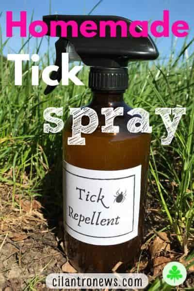Diy Homemade Tick Repellent Spray Recipe Cilantro News