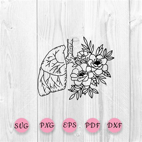 Lungs Svg Floral Lung Svg Human Lung Human Anatomy Etsy Finland