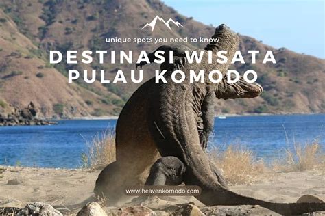 Destinasi Wisata Di Taman Nasional Komodo Heaven Komodo