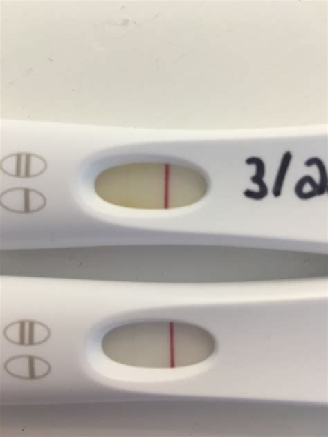 Negative Urine Pregnancy Test But Positive Blood Pregnancywalls