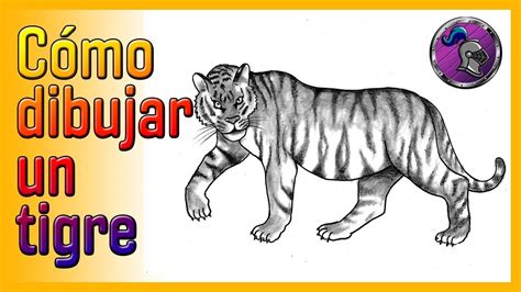 C Mo Dibujar Un Tigre How To Draw A Tiger Drawings Learn To Draw