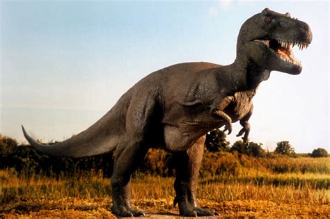 Rs Finale Tyrannosaurus Rex Vs Yangchuanosaurus Vs Utahraptor