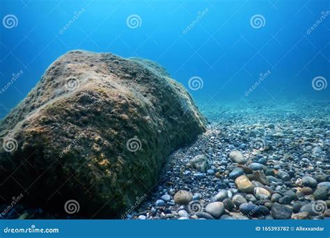 Underwater Rocks And Pebbles On The Seabed Stock Photo Image Of Rocks