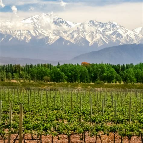 What to See and Do in Mendoza, Argentina Wine Country | ShermansTravel